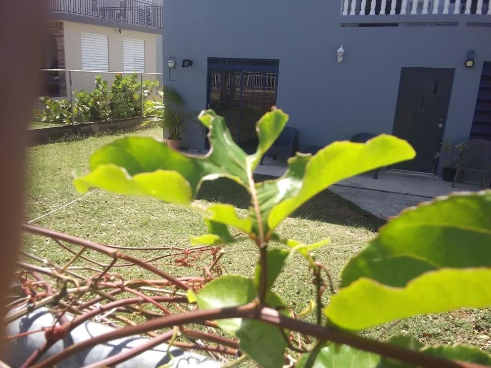 Labadie Apartment Aguadilla Exterior foto